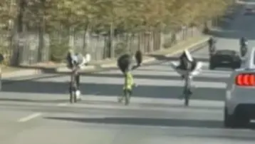 Gaziantep'te bisikletlilerin tehlikeli yolculuğu