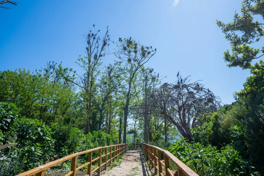 Denizin ve yeşilin kucaklaştığı dik yamaçlara kurulu. Karadeniz'in saklı cenneti 2