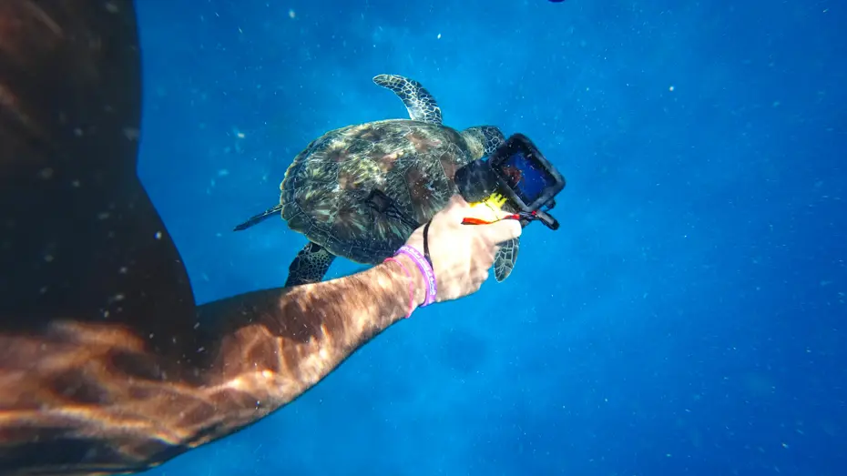 GoPro satılıyor. Çinlilerle mücadele edemedi