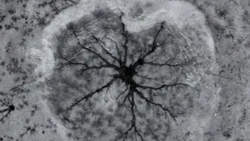 Gümüşören Barajı'nda "göz bebekleri". Soğuk havanın etkisiyle ortaya çıktı