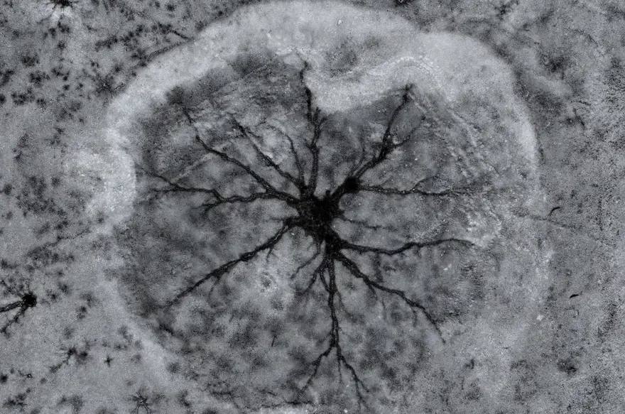 Gümüşören Barajı'nda "göz bebekleri". Soğuk havanın etkisiyle ortaya çıktı 