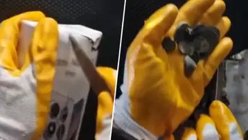 Gümrükte operasyon. Türkiye'den kaçırılmak üzereyken yakalandı