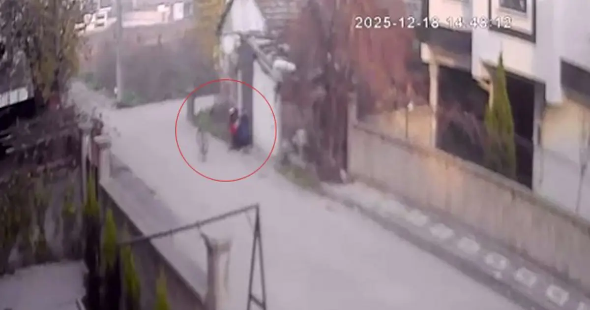 Bebek arabasından 2 milyon liralık altın çaldı