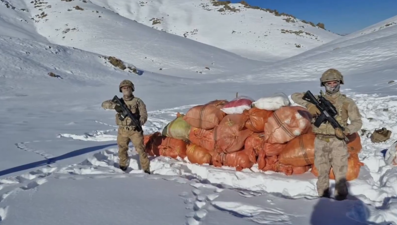 Ağrı ve Hakkari'de uyuşturucu operasyonu