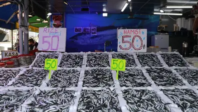 Bereketli hamsi günleri başladı kilosu 50 lira oldu