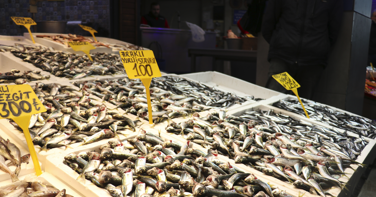 Hamsi gitti istavrit geldi. Kilosu üç katına çıktı