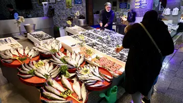 Tezgahlarda hamsi bolluğu