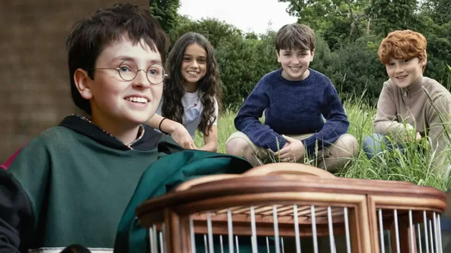 Harry Potter dizisinin ikinci sezonu şekilleniyor. Gilderoy Lockhart için ünlü isimle anlaşıldı