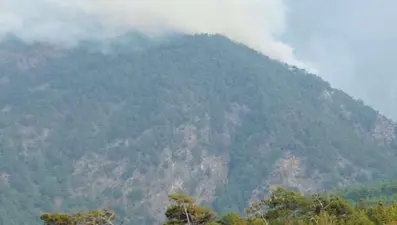 Hatay'da orman yangını