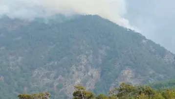 Hatay'da orman yangını