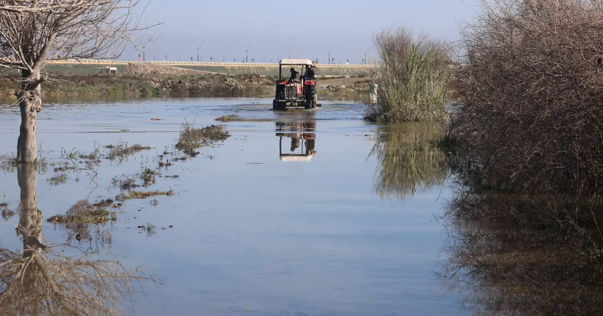 Son 65 yılın en kurak yılını yaşamışlardı. Şimdi de aşırı yağış vurdu "Tarlalarımız su içinde kaldı"