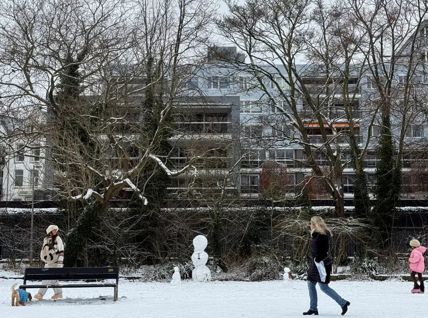 Avrupa'da kar hayatı dondurdu 3