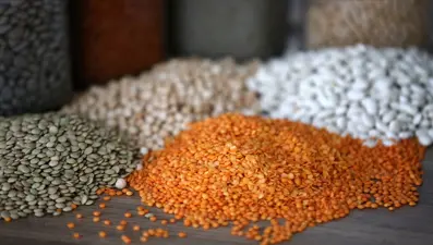 Hububatçılar açıklanan fiyatlardan memnun