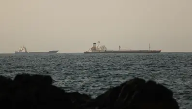 Arap ülkeleri, İran'ın Bahreyn'e saldırısını kınadı