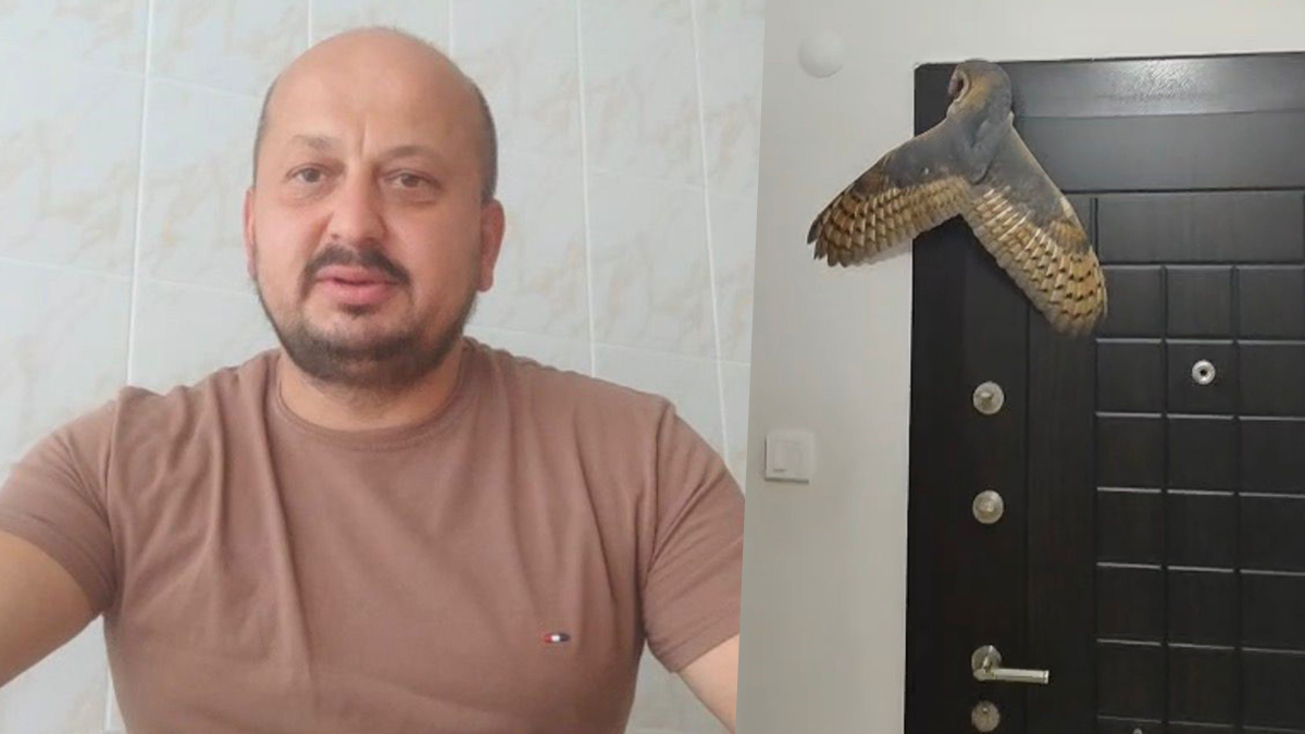 Evine hırsız girdi sandı, ışığı açınca şaştı kaldı