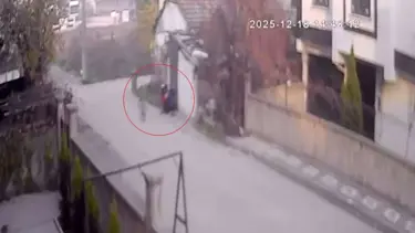 Bebek arabasından 2 milyon liralık altın çaldı