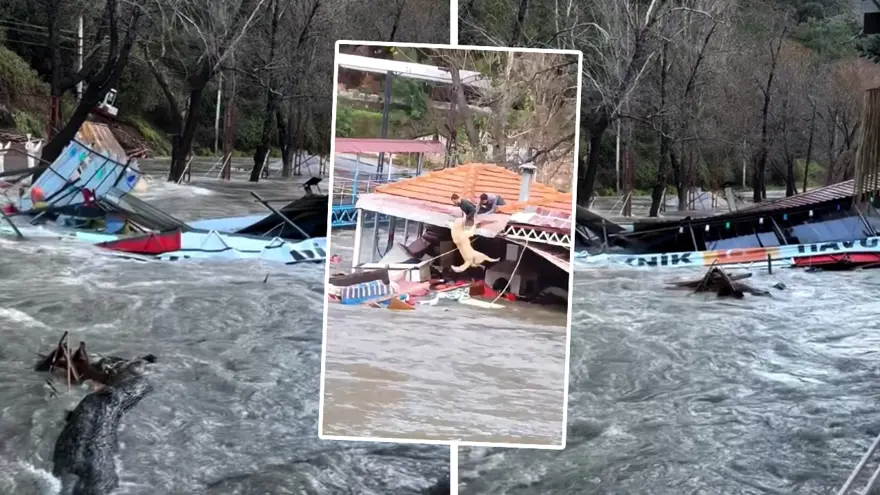 İŞLETME SUYA KAPILDI, KÖPEK SON ANDA KURTARILDI 6