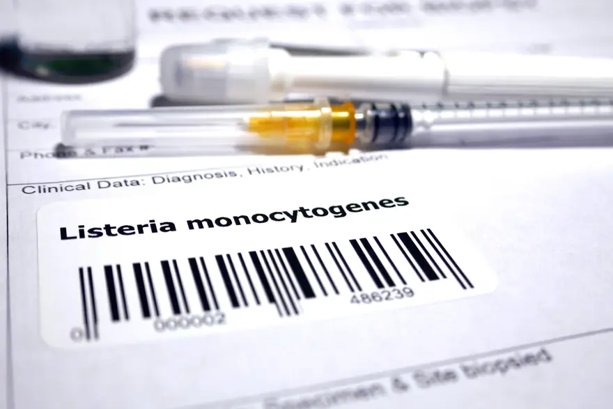 LISTERIA BAKTERİSİ NEDİR? 1