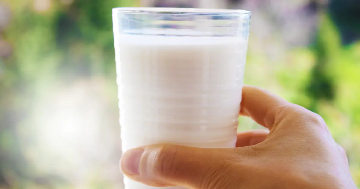 Günde 1 bardak süt içince vücudunuzda ne olur? Meğer bu riski yüzde 10 azaltıyormuş