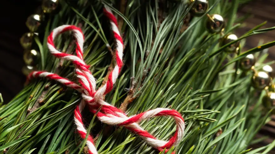 MARTENİÇKANIN HİKAYESİ 3