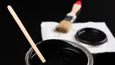 Dünyanın en siyah boyası, bilim insanlarının umudu oldu