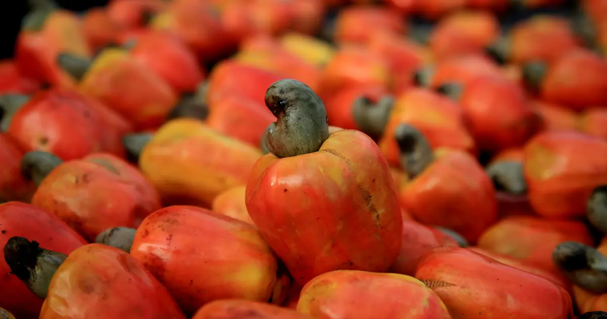 Nöroloji doktoru "beyni gençleştiren gıda" diyor. Hafızayı diri tutmak için süper yol