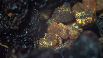 Bağışıklığı güçlendirip, yaşlanmayı da yavaşlatan süper gıda listesi. Her evde olması gerekiyor