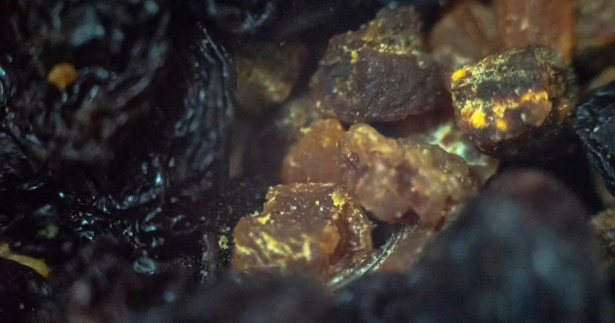 Bağışıklığı güçlendirip, yaşlanmayı da yavaşlatan süper gıda listesi. Her evde olması gerekiyor