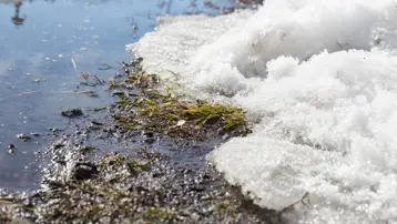 Karadeniz'de sessiz tehlike. Risk her geçen gün artıyor