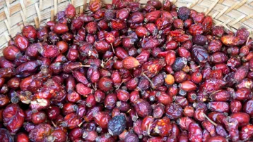 Havalar soğuyunca talep arttı. Kilosu 250 liraya satılıyor