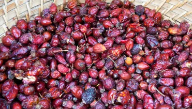 Havalar soğuyunca talep arttı. Kilosu 250 liraya satılıyor