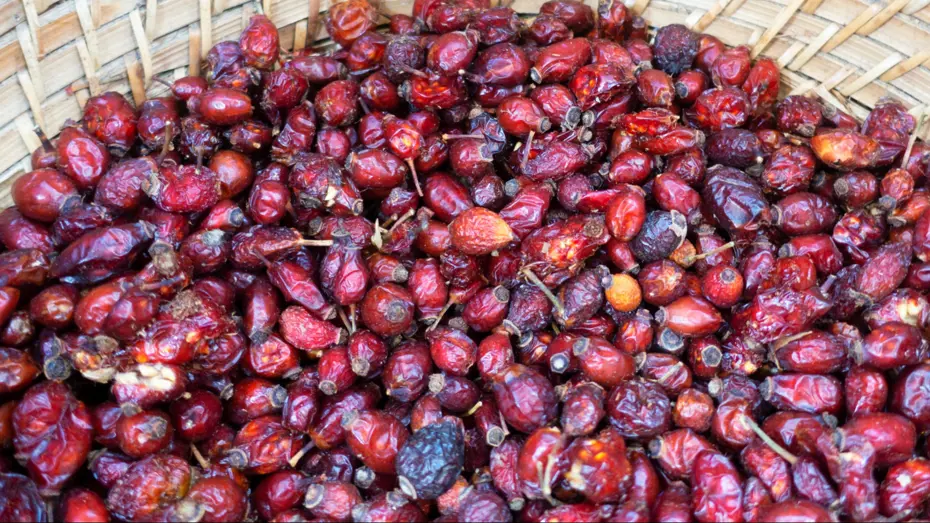 Havalar soğuyunca talep arttı. Kilosu 250 liraya satılıyor