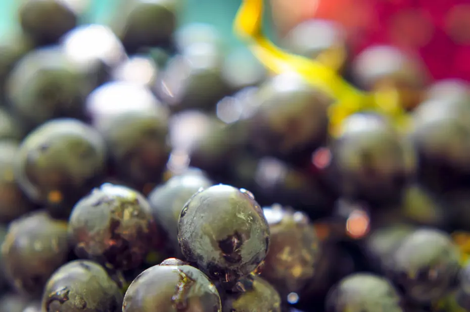 ''Sultanlara layık'' meyvenin kilosu 40 liraya satılıyor