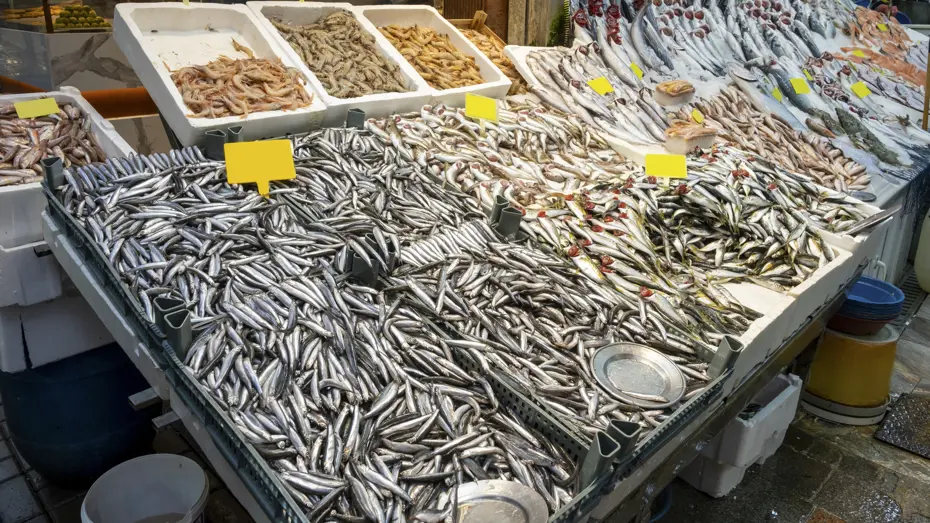 Sezon başında 50 TL'ye satılıyordu, fiyatı 3 katına çıktı