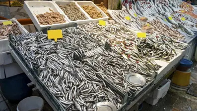 Karadeniz'deki bolluk fiyatını düşürdü: Kilosu 100 liraya geriledi