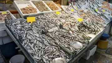 Karadeniz'deki bolluk fiyatını düşürdü: Kilosu 100 liraya geriledi