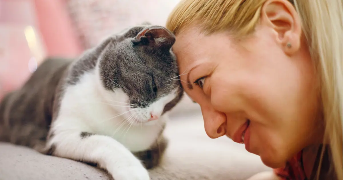 Evcil hayvanlara özel kanal açıldı. 24 saat yayın yapıyor