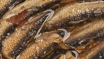 Kalbi iyileştiren 6 besin. Doktorlar "göz ardı edilen süper gıda" diyor