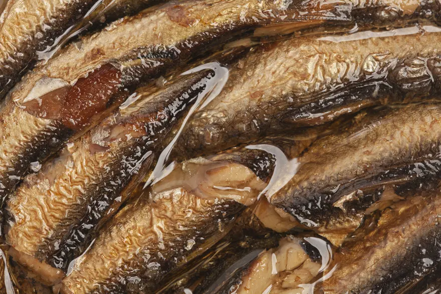 Kalbi iyileştiren 6 besin. Doktorlar "göz ardı edilen süperlik gıda" diyor 