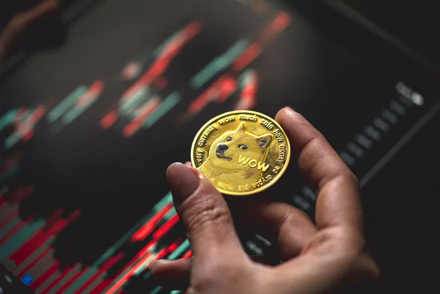 Risk büyüdü, devasa kayıp var. Elinde Dogecoin olanlar ne yapacak? 1 Risk büyüdü, devasa kayıp var. Elinde Dogecoin olanlar ne yapacak? 1