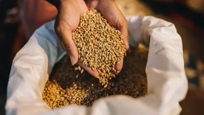 Arpa ve mısırda kontenjan 1 milyon ton olarak belirlendi