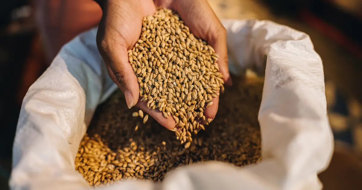 Arpa ve mısırda kontenjan 1 milyon ton olarak belirlendi