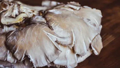 İltihabı azaltıp bağışıklığı güçlendiriyor. Yetiştirmesi de kolay
