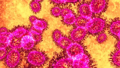 Nipah virüsü yayılıyor mu? Asya alarmda, havalimanları önlem alıyor