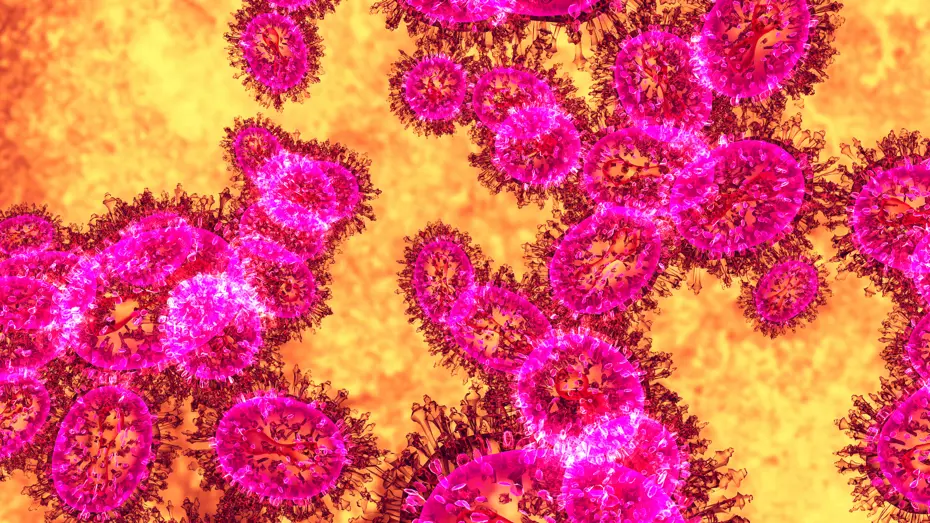 Nipah virüsü yayılıyor mu? Asya alarmda, havalimanları önlem alıyor