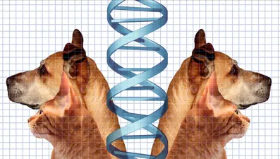 Ünlüler evcil hayvanlarını klonlatıyor, uzmanlar uyarıyor
