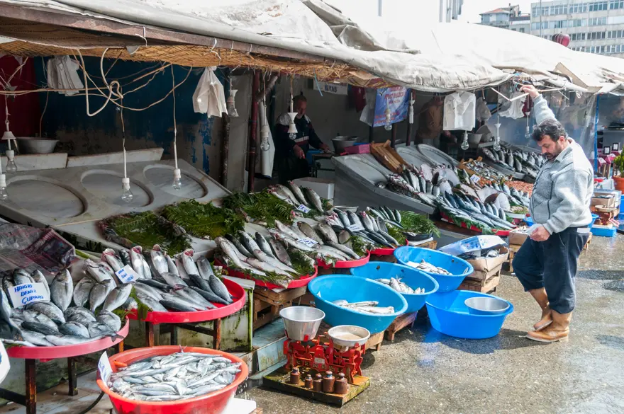 Karadeniz'deki bolluk fiyatını düşürdü: Kilosu 100 liraya geriledi 