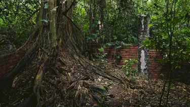 Felaketten 40 yıl sonra: Kayıt tutulmadı, çocuklar kayboldu