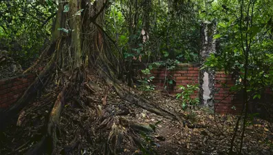 Felaketten 40 yıl sonra: Kayıt tutulmadı, çocuklar kayboldu