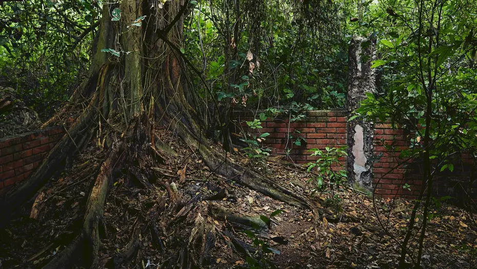 Felaketten 40 yıl sonra: Kayıt tutulmadı, çocuklar kayboldu